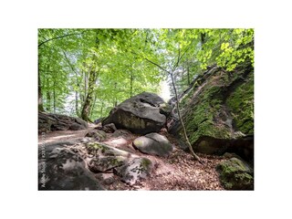 1000_F_289500933_08bwgRfboOk0WnLGNwaLGn51D3xg9wMz