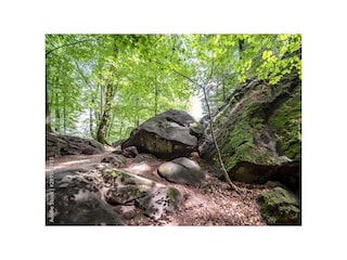 1000_F_289500933_08bwgRfboOk0WnLGNwaLGn51D3xg9wMz