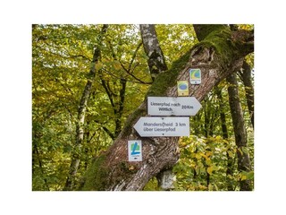 Lieserpfad-Trekking-23