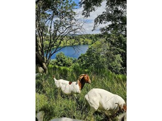 1000_F_472627159_lw2wf4IU140L0annNegibNsRensQj1BY