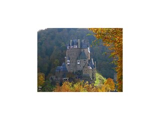eltz1