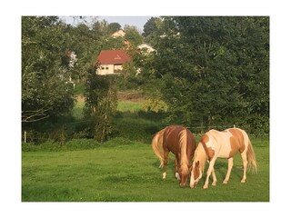 Appartement Bitburg Buitenaudio-opname 20