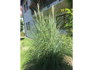 Appartement Bitburg Buitenaudio-opname 40