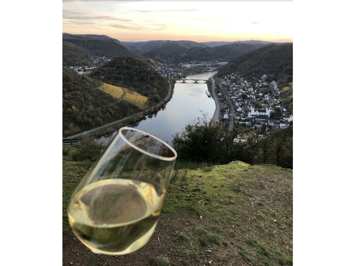 Mosel bei Treis-Karden