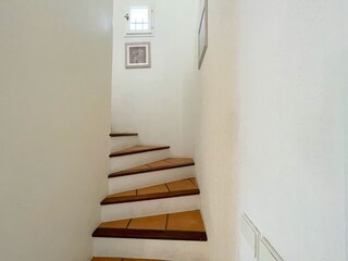 Casa per le vacanze Roquebrune-sur-Argens Caratteristiche 22