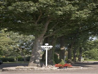 Parque de vacaciones Bad Bentheim Entorno 10