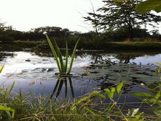 Parc de vacances Bad Bentheim Environnement 13