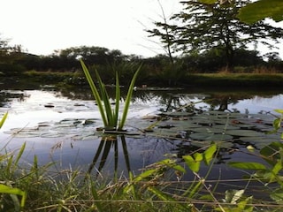 Holiday park Bad Bentheim Environment 11