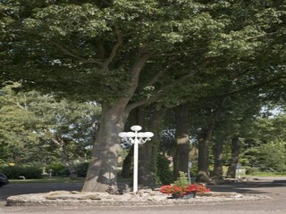 Ferienpark Bad Bentheim Umgebung 25