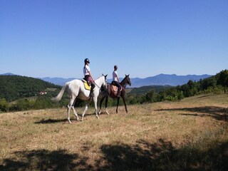 Casa de campo Monte Santa Maria Tiberina  39