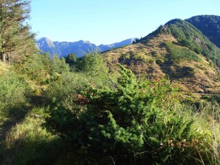 Bauernhof Monte Santa Maria Tiberina Umgebung 32