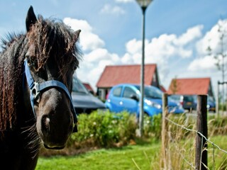 Vakantiepark Wemeldinge Omgeving 28