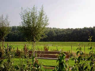 Vakantiepark Wemeldinge Omgeving 29