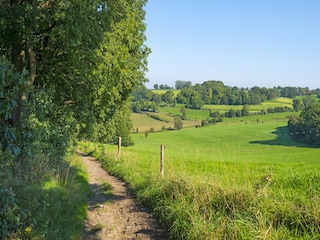 Parc de vacances Margraten Environnement 19