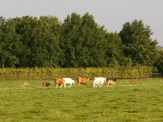 Vakantiepark Margraten Omgeving 20