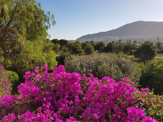 Villa Alfas del Pi Registrazione all'aperto 16