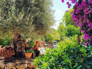 Villa Alfas del Pi Registrazione all'aperto 28