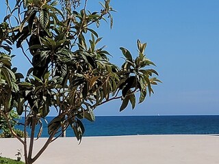 Villa Alfas del Pi Ambiente 38