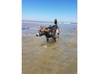 Wasser und Strand gibt es ganz in der Nähe!