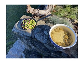 Casa per le vacanze Les Vans Registrazione all'aperto 13