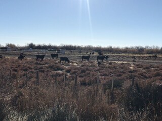 Casa per le vacanze Les Vans Ambiente 37