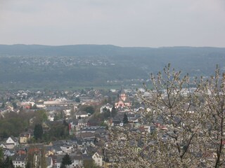 Blick auf Sinzig vom Felten-Turm