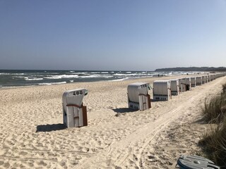 Hundestrand