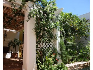 Garden with Pergola