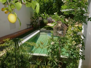 Garten mit Blick auf den Naturpool