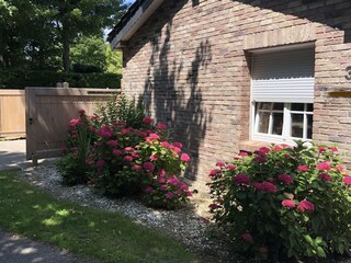 Casa per le vacanze Kamperland Registrazione all'aperto 7