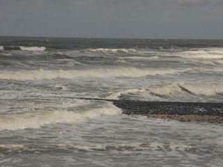 Meer