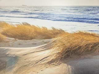 Appartement de vacances Dorum-Neufeld Enregistrement extérieur 14