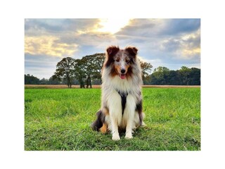 Vakantieappartement Dorum-Neufeld Buitenaudio-opname 24