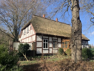 Ferienhaus Bergen auf Rügen Außenaufnahme 2