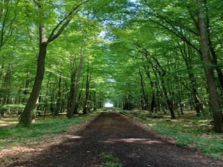 Apartment Homberg an der Efze Umgebung 27