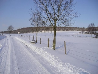 Apartment Homberg an der Efze Umgebung 25