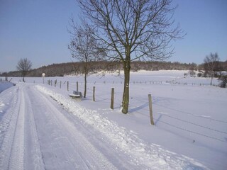 Appartement Homberg an der Efze Omgeving 37