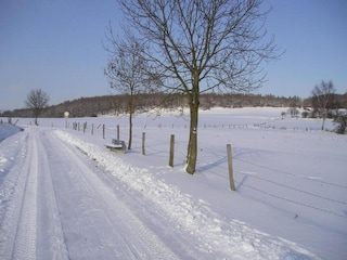 Apartment Homberg an der Efze Umgebung 32