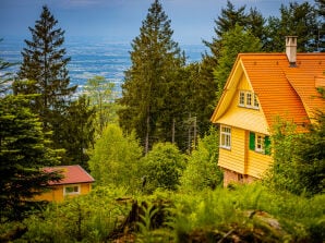 Ferienhaus Sonnenhäusle - Sasbachwalden - image1