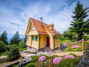 Ferienhaus Sonnenhäusle - Sasbachwalden - image1