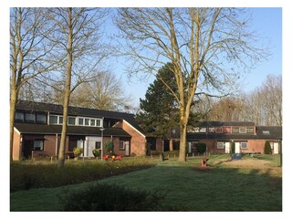 Casa per le vacanze Bruinisse Registrazione all'aperto 3