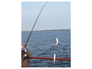 Casa per le vacanze Bruinisse Ambiente 27