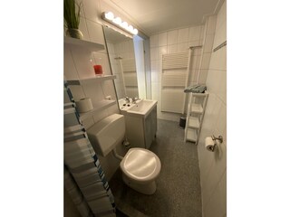 Appartamento per vacanze Bruinisse Caratteristiche 11