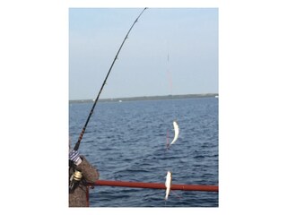 Appartamento per vacanze Bruinisse Ambiente 34