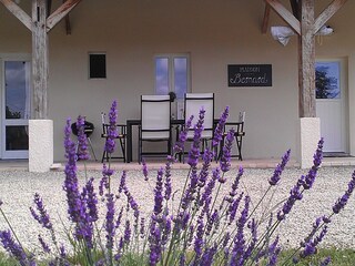 Casa per le vacanze Biscarrosse Ambiente 4
