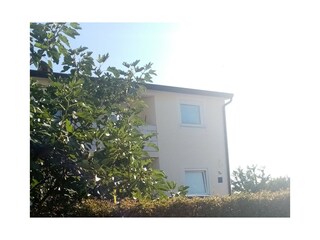 Apartment Buići Außenaufnahme 2
