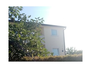 Apartment Buići Outdoor Recording 2