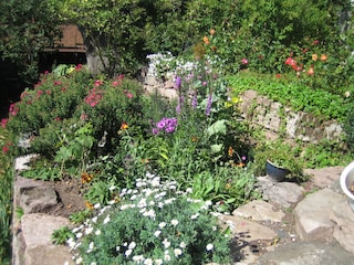 Blumenpracht und Kräuterbeet zum Bedienen