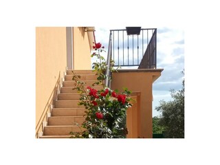 Appartamento Vrsar Registrazione all'aperto 5