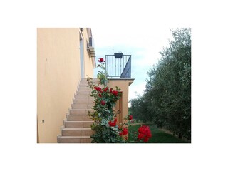 Apartment Vrsar Außenaufnahme 6